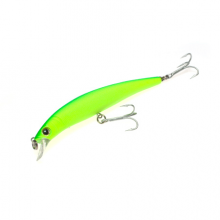 real-minnow-121